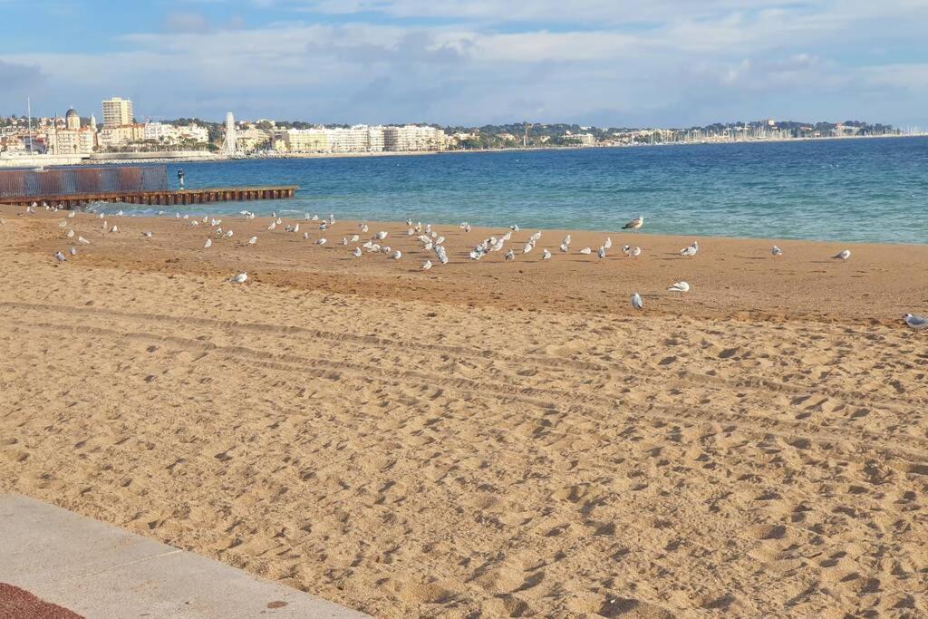 T2 Climatise A 5 Minutes A Pied De La Plage Avec Parking, Piscine Et Wifi Frejus Luaran gambar